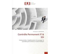 Contrôle Permanent IT & SSI: Comprendre, implémenter et manager le contrôle permanent en informatique