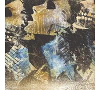 Converge - Axe to Fall [Import]