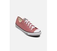 Converse Chuck Taylor All Star Dainty Ox W 37 1/2 Rosa