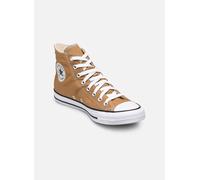 Converse Chuck Taylor All Star Hi M 44 Amarillo