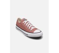 Converse Chuck Taylor All Star Ox 36 Rosa