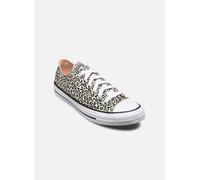 Converse Chuck Taylor All Star Ox 38 Multicolor