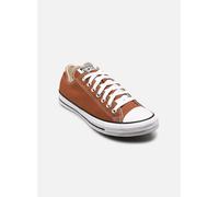 CONVERSE Zapatillas deportivas bajas 'CTAS' caramelo 41 caramelo