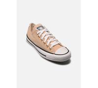Converse Chuck Taylor All Star Peached Canvas Ox W 41 Beige