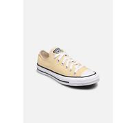 Converse Chuck Taylor All Star Seasonal Color Ox 36 Amarillo