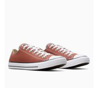 CONVERSE Zapatillas All Star Ox Seasonal Color. Color Marrón