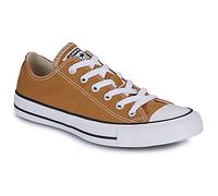 Converse Zapatillas CHUCK TAYLOR ALL STAR in Amarillo 36