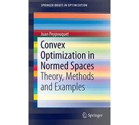 Convex Optimization in Normed Spaces: Theory, Methods and Examples (SpringerBriefs in Optimization)