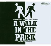 Conways F. Nick Straker Band - A Walk in The Park [Import]