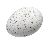 Cooee Design 2 Huevos Easter Deco Blanco