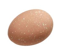 Cooee Design 2 Huevos Easter Deco Café au lait