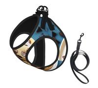 Cookies Food - Juego de arnés y correa para perro, con estampado de galletas y chispas de chocolate, chaleco reflectante ajustable para cachorros pequeños, medianos y grandes y gatos