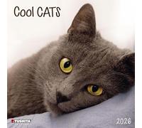 Cool Cats 2026: Kalender 2026