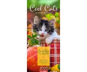 Cool Cats Agenda Familiar 2025: Calendario fotográfico grande con 5 columnas para familias. Bonito calendario de pared familiar 2025 con fotos de gatos lindos. 22 x 48 cm (calendario de animales