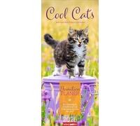 Cool Cats Familienplaner 2026: Großer Foto-Terminkalender mit 5 Spalten für Familien. Schöner Familien-Wandkalender 2026 mit süßen Katzen-Fotos. 22 x 48 cm