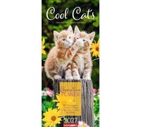 Cool Cats Familienplaner 2027: Großer Foto-Terminkalender mit 5 Spalten für Familien. Schöner Familien-Wandkalender 2027 mit süßen Katzen-Fotos. 22 x 48 cm