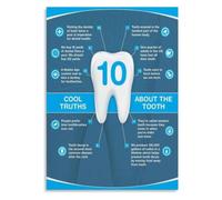 Cool Facts Poster Brighten Up Your Office or Classroom