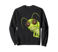 Cool Grasshopper Gafas de Sol Amante de Insectos Niños Saltamontes Sudadera