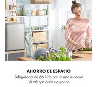 Cool Kid 44,5cm 66L Nevera Pequeña Plata