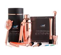 Cool Leaf Kit de preparación de cócteles con coctelera dorada, accesorios de bar y más, idea de regalo para Navidad o cumpleaños, haz tu propia ginebra, cócteles para el pub en casa, juego de regalo