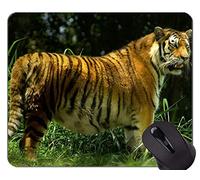 Cool Tiger Head In Fire Alfombrilla de ratón, Tiger Mouse Pads