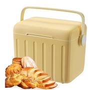 Cooler Box, Ice Chest, 10.63x9.45x7.48 Inches, Insulated Container, Leakproof Thermal Storage with 6 Ice Packs for Drinks, Daily, Hiking, Gym, Camping, Sports, Barbecue, Travel, Beach