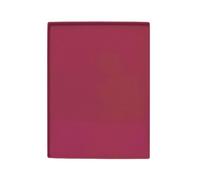 Coolinato Juego de 2 alfombrillas de silicona con borde grande, 36,5 x 27 x 1 cm, color rojo, apto para alimentos, ideal para hornear y como base para hornear, incluye 4 recetas
