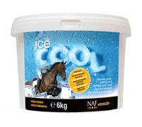 Cooling Clay - Ice Cool - Naf