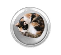 Cooling Dog Bed, 15,7 pulgadas de aluminio Cool Pet Bed for Cats, no deslizable, portátil Washable Cot 15,75 x 15,75 x 1,97 pulgadas, Hot Weather, interior al aire libre, Travel Crate Floor