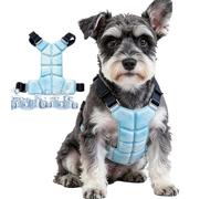 Cooling Vest Dogs - Lightweight Summer Sun Protection Pet Ice Vest for Heat Relief | Breathable Adjustable with Dog Cooling, Jacket for Outdoor Walking Training Small Medium Breeds