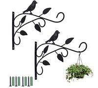 Coolty 2pcs Soporte para Plantas Colgantes de Pared Gancho para Comedero de Pájaros Cestas de Macetas Campanas de Viento Linterna Decoración de Jardín, 12 Pulgadas