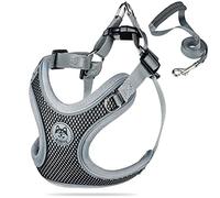 Coolzon Arnés Antitirones Transpirable para Perro Pequeño - Arnes Acolchado Ajustable y Reflectante tipo Chaleco para Caminar y Entrenamiento de Gato, Negro（S）