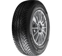 Cooper Discoverer Winter ( 225/55 R17 101V XL )