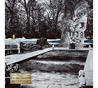 Mike Cooper Reluctant Swimmer/Virtual Surfer (Vinyl) 12" Album