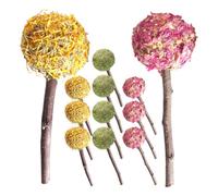 COOPHYA Juguetes para Masticar para Conejos y Cobayas, 12 Palitos de Madera y Plantas en Formas Únicas para Mantener la Salud Oral y Distraer de Morder Muebles