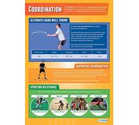 Coordinación | Pósteres de PE | Papel laminado brillante midiendo 850mm x 594mm (A1) | Tablas de educación física para el aula | Tablas educativas de Daydream Education