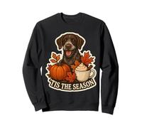 Copa de otoño y otoño de Tis The Season, Perro Puntero alemán de Pelo Duro Sudadera