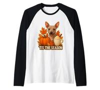 Copa de otoño y otoño para Perros American Hairless Terrier de Tis The Season Camiseta Manga Raglan