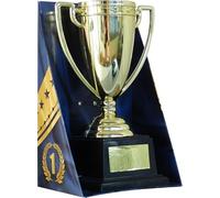 Copa Trofeo de Regalo Original - Copa Dorada con Frase Grabada | Reconocimiento Divertido y Emotivo para Amigos, Familia y Compañeros (Sin Mensaje)