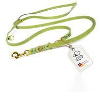CopcoPet Correa para perro de piel engrasada, 2,40 m x 15 mm, color verde, 3 posiciones, trenzada, con accesorios de latón, agarre resistente, correa para el cuello para perros medianos ideal para