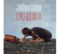 Cope, Julian - Fried