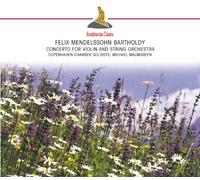 Copenhagen Chamber Soloists - Concerto for Violin & String Orchestra in D Minor