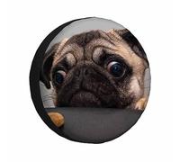 Copriruota di scorta per cane carlino, simpatico cucciolo triste che guarda un biscotto, occhi divertenti, protezioni universali per ruote resistenti alle intemperie, copriruota per camper, roulotte e