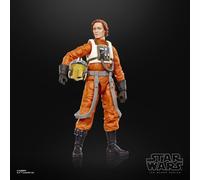 copy of Colonel Ward. The Black Series. Star Wars. Hasbro