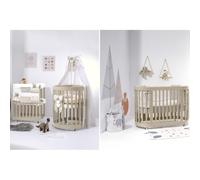 copy of Cunas Evolutivas Cuoricini Leonardo Cuoricini