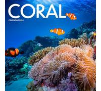 Coral 2026 Calendar: Underwater Reefs and Ocean Wonders