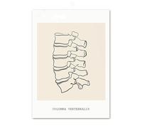 Corazón cerebro pulmones columna vertebral esquelético cuello órgano anatomía cuadro sobre lienzo for pared póster médico e impresiones imágenes for decoración clínica(10,30x40cm Wooden Frame)