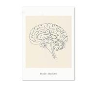 Corazón cerebro pulmones columna vertebral esquelético cuello órgano anatomía cuadro sobre lienzo for pared póster médico e impresiones imágenes for decoración clínica(12,20x25cm Wooden Frame)