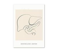 Corazón Cerebro pulmones Columna Vertebral esquelético Cuello órgano anatomía Cuadro sobre Lienzo for Pared póster médico e Impresiones imágenes for decoración clínica(11,30x40cm No Framed)