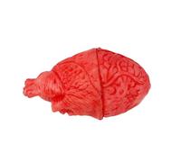 Corazón falso, Corazón Ensangrentadas, Partes de Cuerpo Muerto Ensangrentadas, órgano de corazón terror sangriento, Utilería de Corazón Falso, accesorios de Decoración de Halloween para casa embrujada